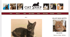 Desktop Screenshot of catsnap.org