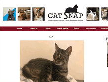 Tablet Screenshot of catsnap.org